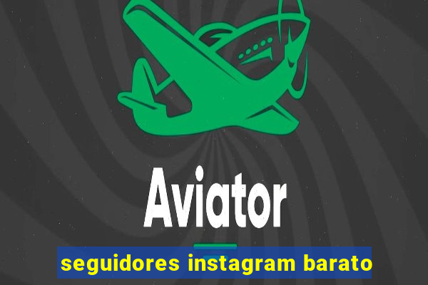 seguidores instagram barato